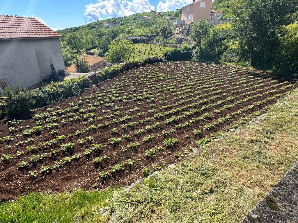 Two houses: Lokvičići, 190.00 m2 + land 1990m2 for sale! – 8