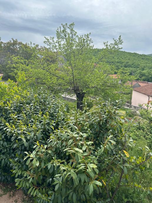 House: Dolića Draga, 30.00 m2 + yard 100m2 – 8