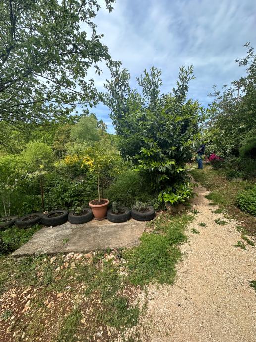 House: Dolića Draga, 30.00 m2 + yard 100m2 – 9