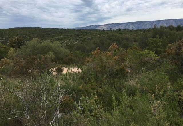 Prime building plot, Stari Grad, Hvar 11111 m2 – 5