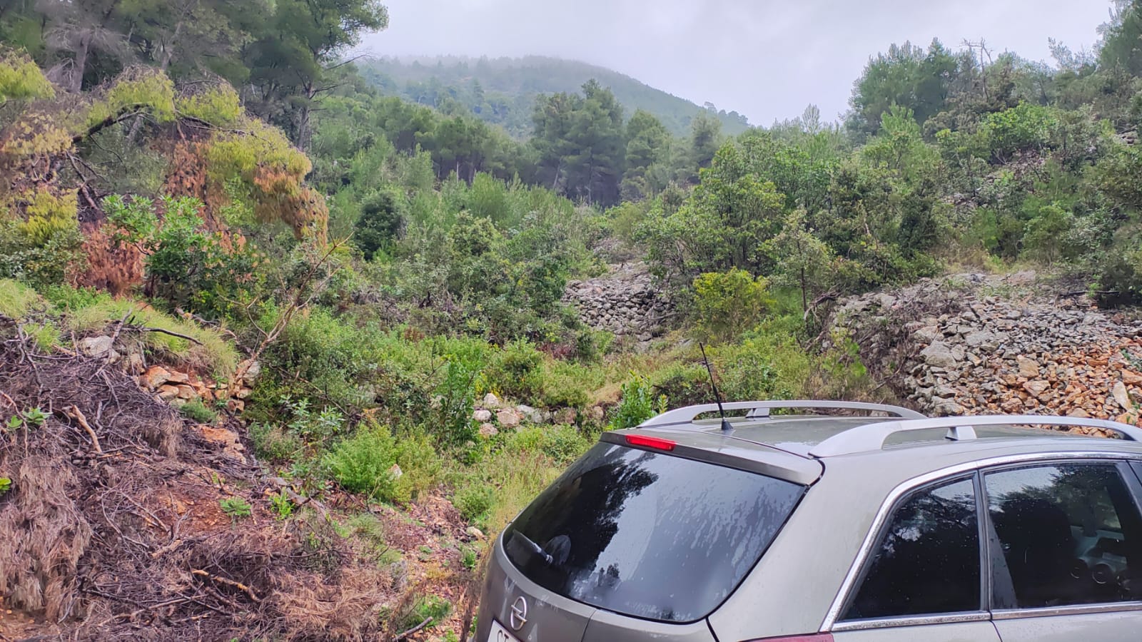 Atraktivno zemljište 90 000m2 – Hvar – 7