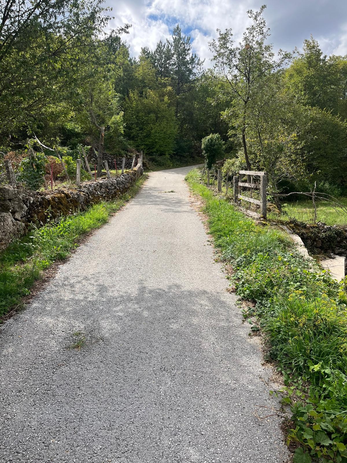 Kuća i zemljište- Lokvičići, Berinovac – 18