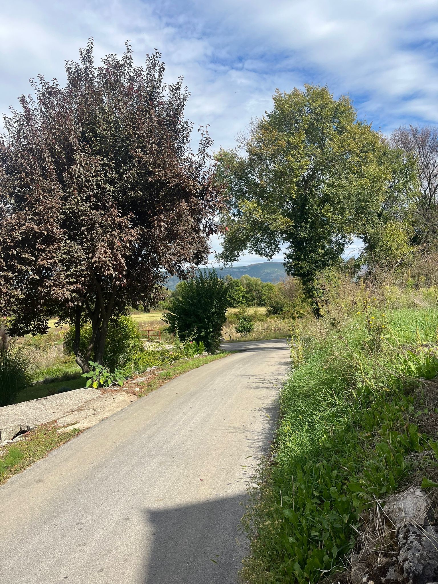 Kuća i zemljište – Runović (2 stana) – 35